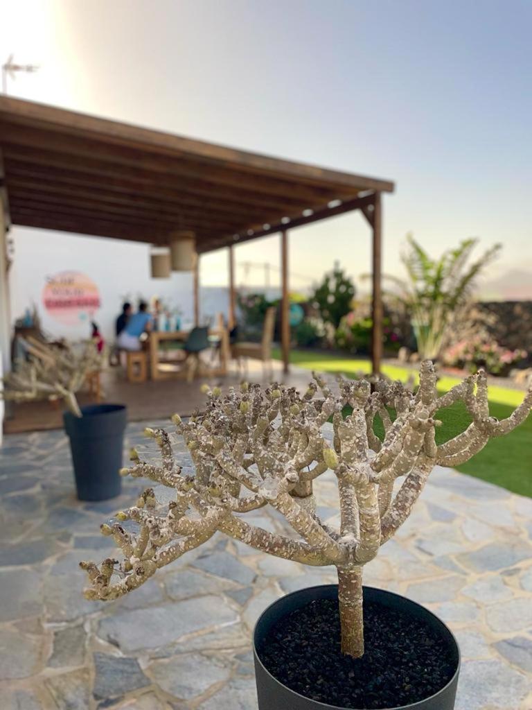 Agua Guesthouse Lajares Villa Con Jacuzzi Εξωτερικό φωτογραφία